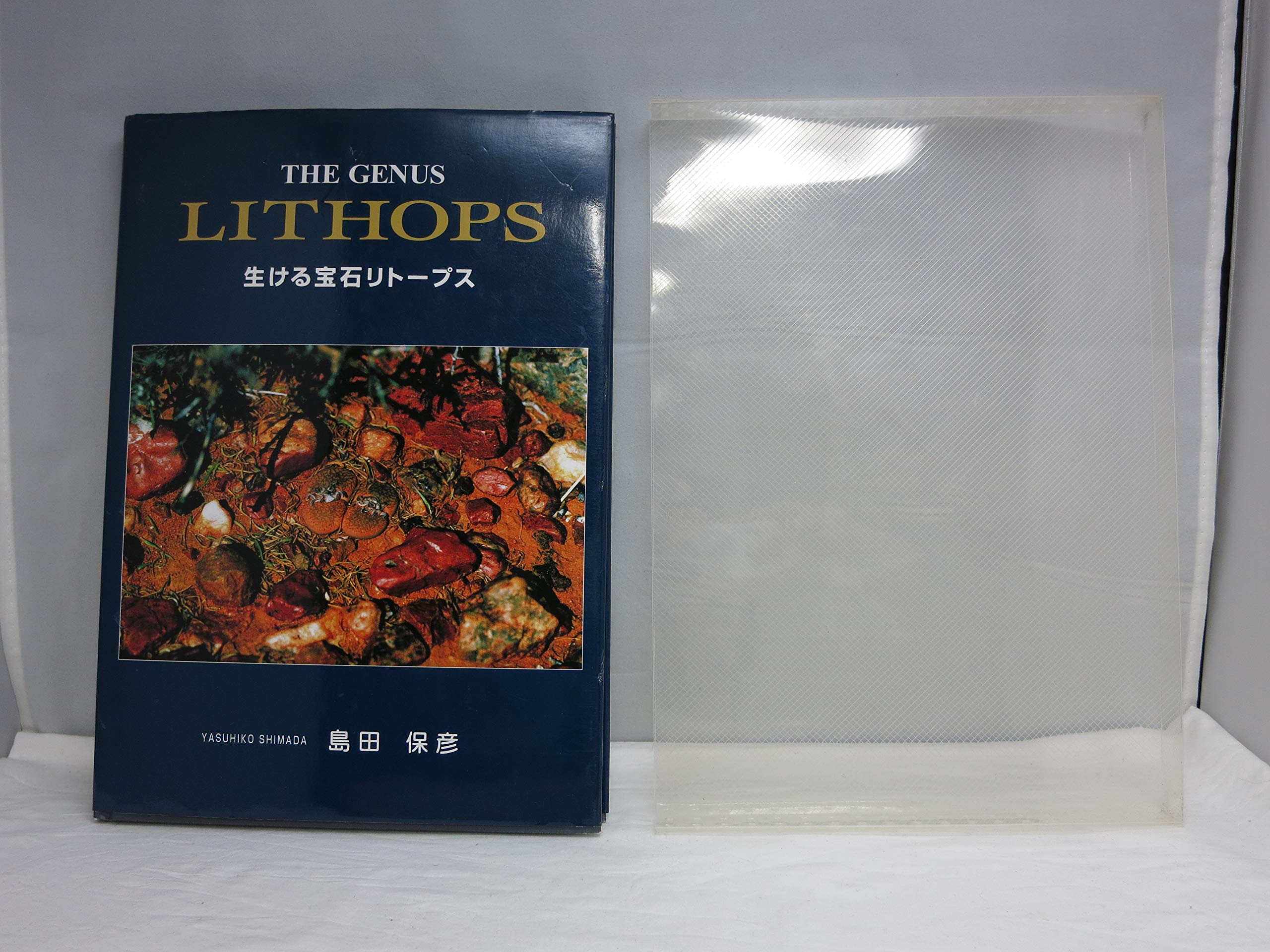 THE GENUS LITHOPS 生ける宝石リトープス Amazon.co.jp: 生ける宝石リト-プス : 島田保彦(1928生): 本